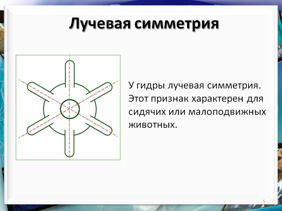 Kra33.at