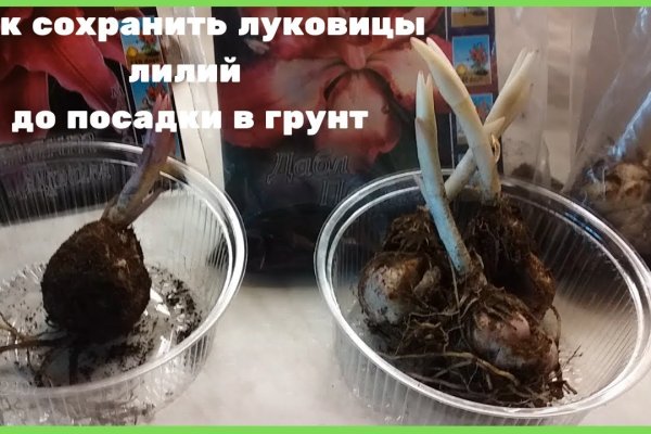 Ссылка на кракен 11