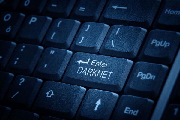 Kraken darknet зеркала кракен обход