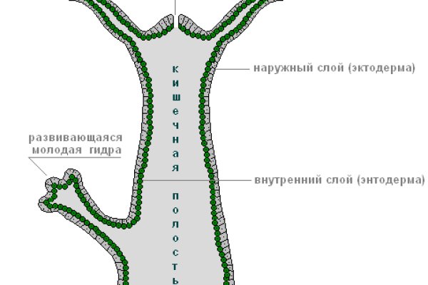 Кракен даркнет площадка