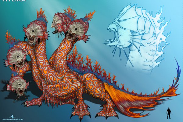 Kraken17 at