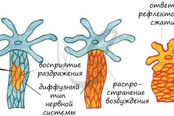 Ссылки кракен телеграф