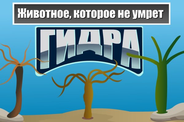 Как восстановить аккаунт кракен