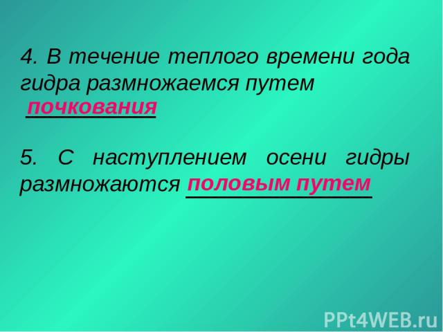 Кракен последние ссылки